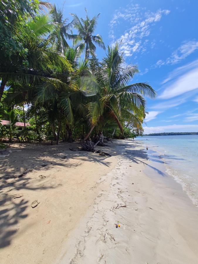 Drago Beach House - Private Beach Бока-дель-Драго Экстерьер фото
