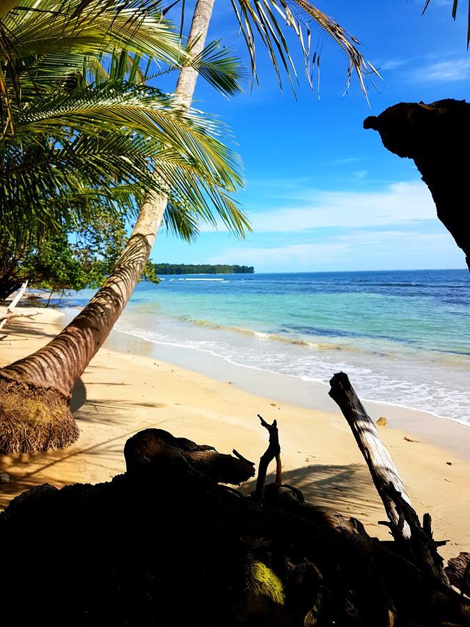 Drago Beach House - Private Beach Бока-дель-Драго Экстерьер фото